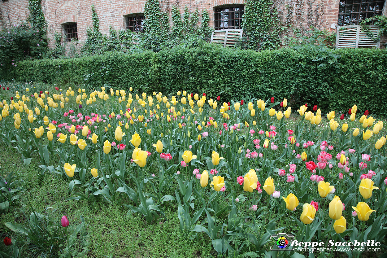 VBS_0911 - Castello di Piea d'Asti.jpg